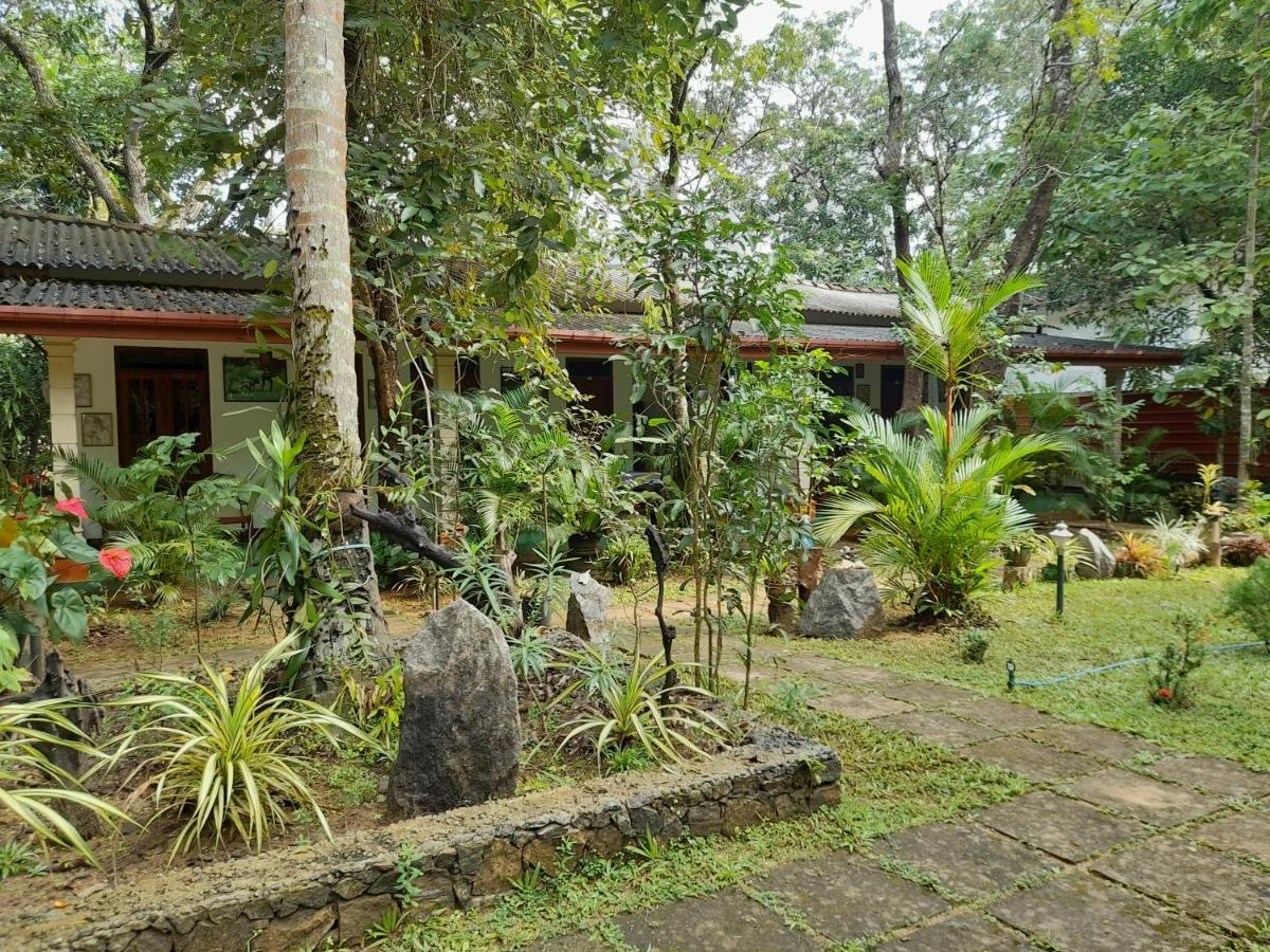 Sigiri Jungle Villa Sigiriya Exterior foto