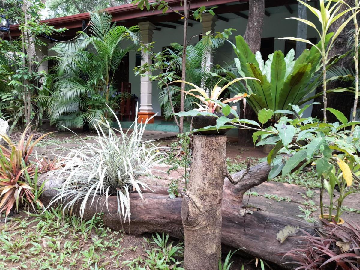 Sigiri Jungle Villa Sigiriya Exterior foto