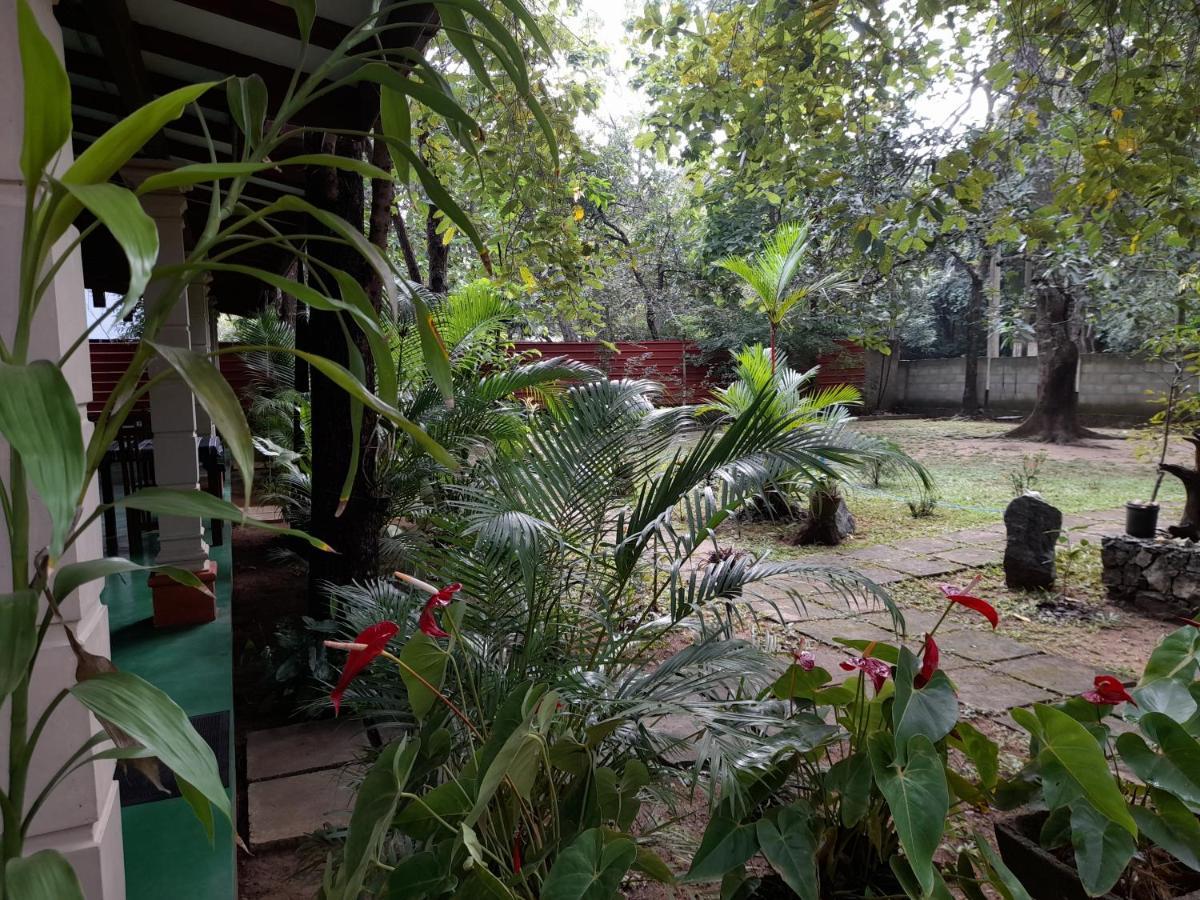 Sigiri Jungle Villa Sigiriya Exterior foto